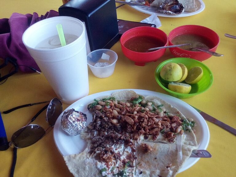 4042 torito pillin 768x576