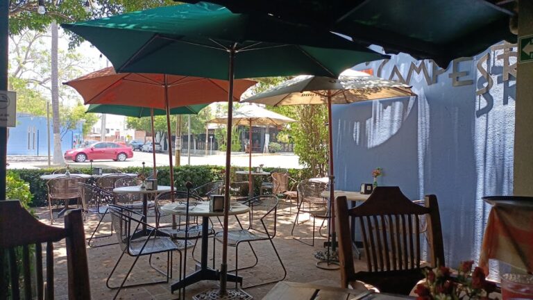 413 los naranjos campestre 768x432