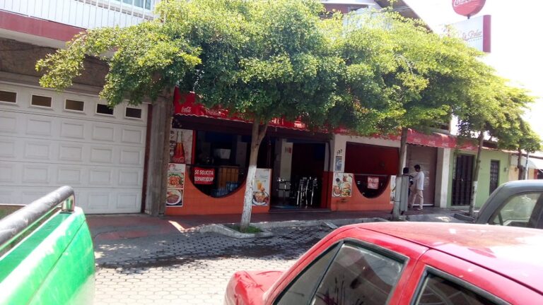 4184 el osito polar 768x432