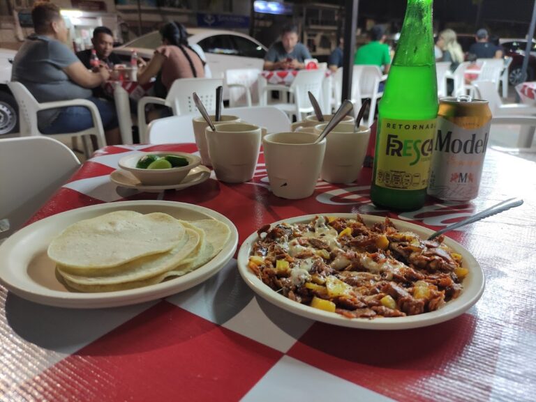 4233 taqueria la flamita mixe salagua 768x577