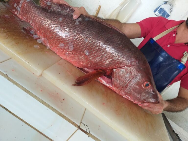 4385 pescaderia rosales mercado 768x576