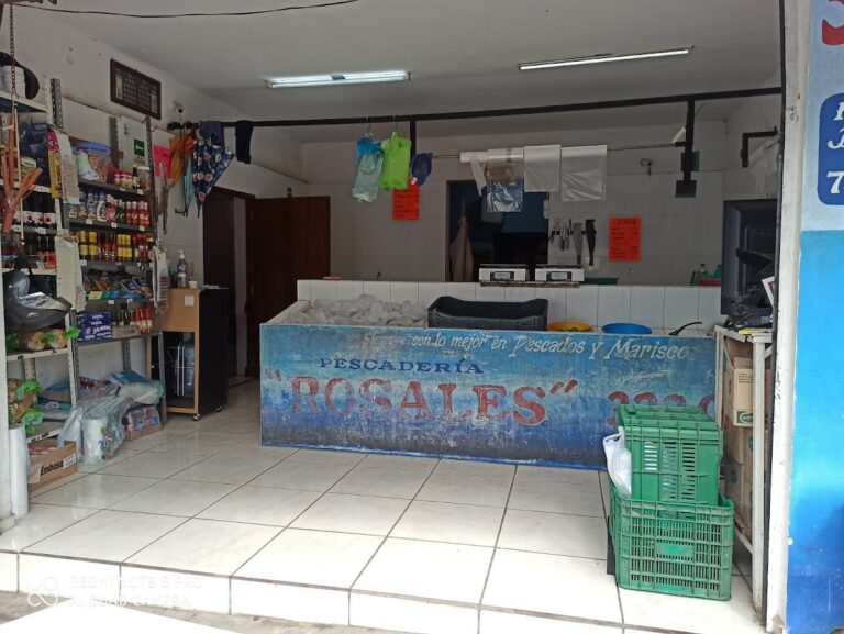 4419 pescaderia rosales coquimatlan 768x577