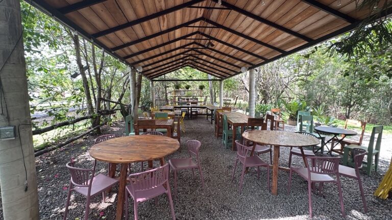 4524 fauno comala 768x432