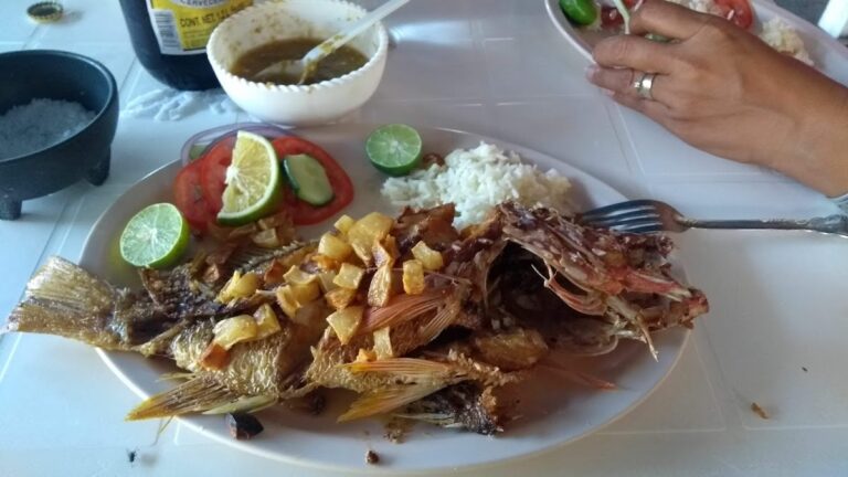 4575 marisqueria el delfin 768x432
