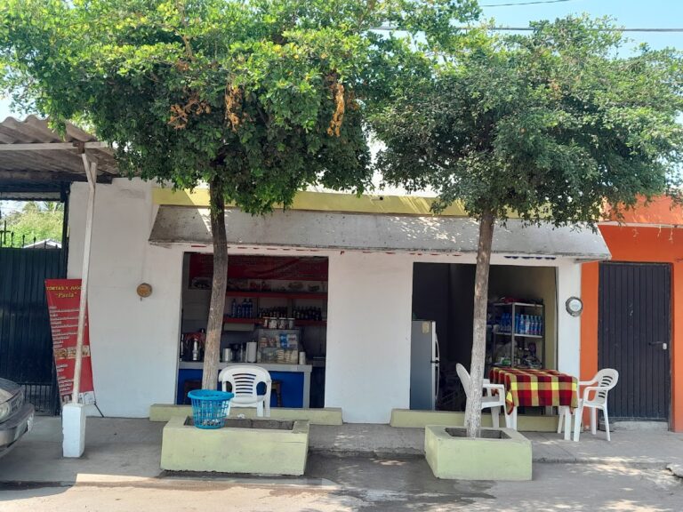 4638 tortas y jugos 8220paola8221 768x576