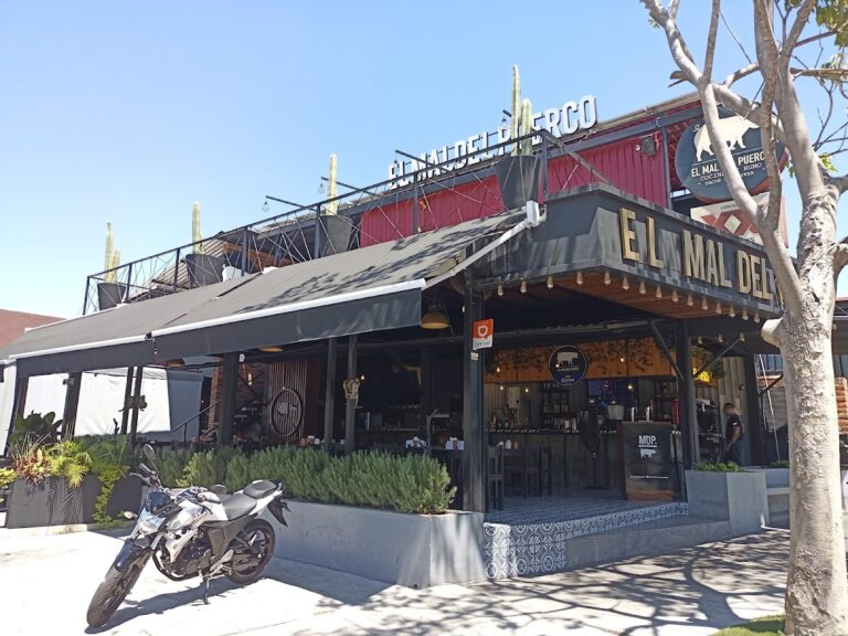 465 el mal del puerco 768x576