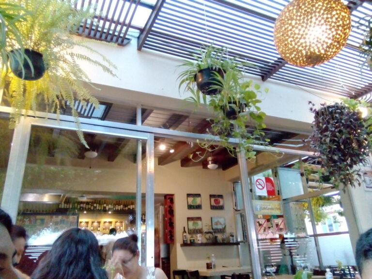 4710 cafe canela y tinto 768x576