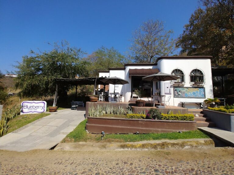 4738 blueberry bistro cafe 768x576