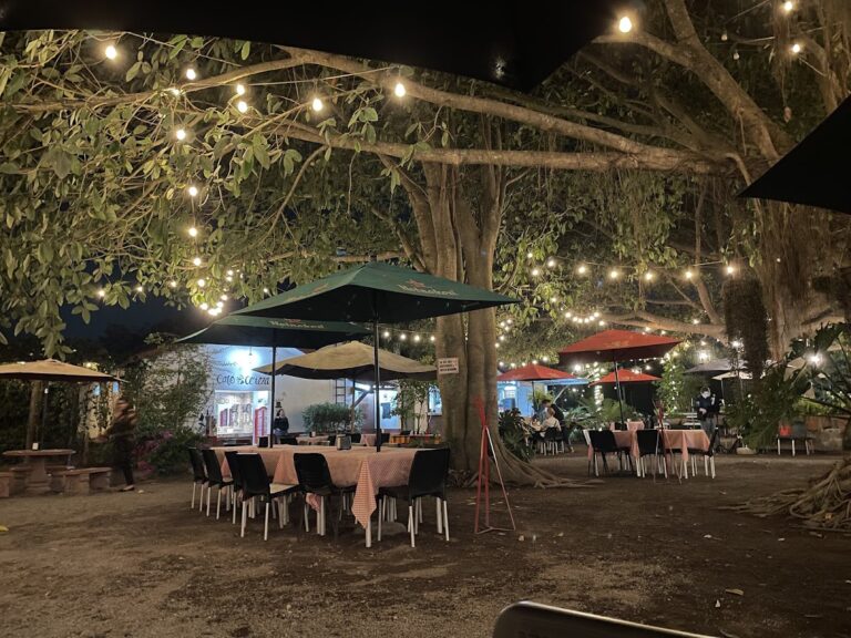 4781 cafe bar cereza 768x576