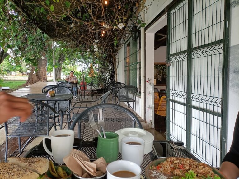 4928 amparo cafe casual 768x576