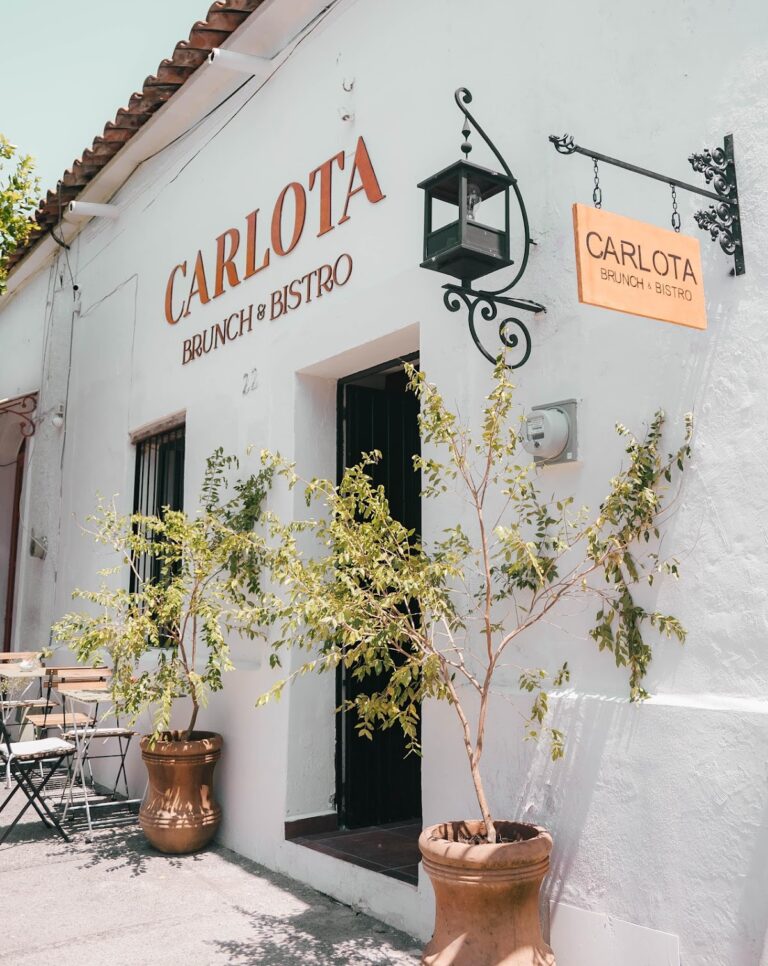 4954 carlota brunchbistro 768x966