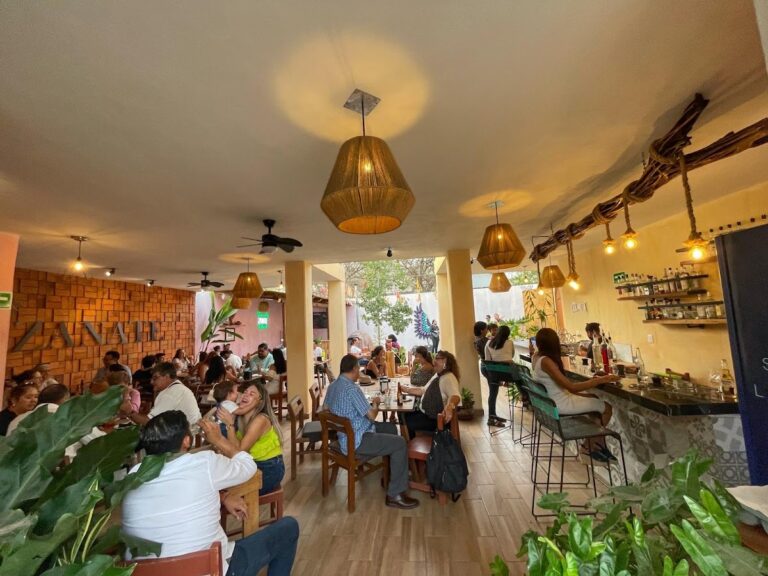 5141 casa zanate 768x576