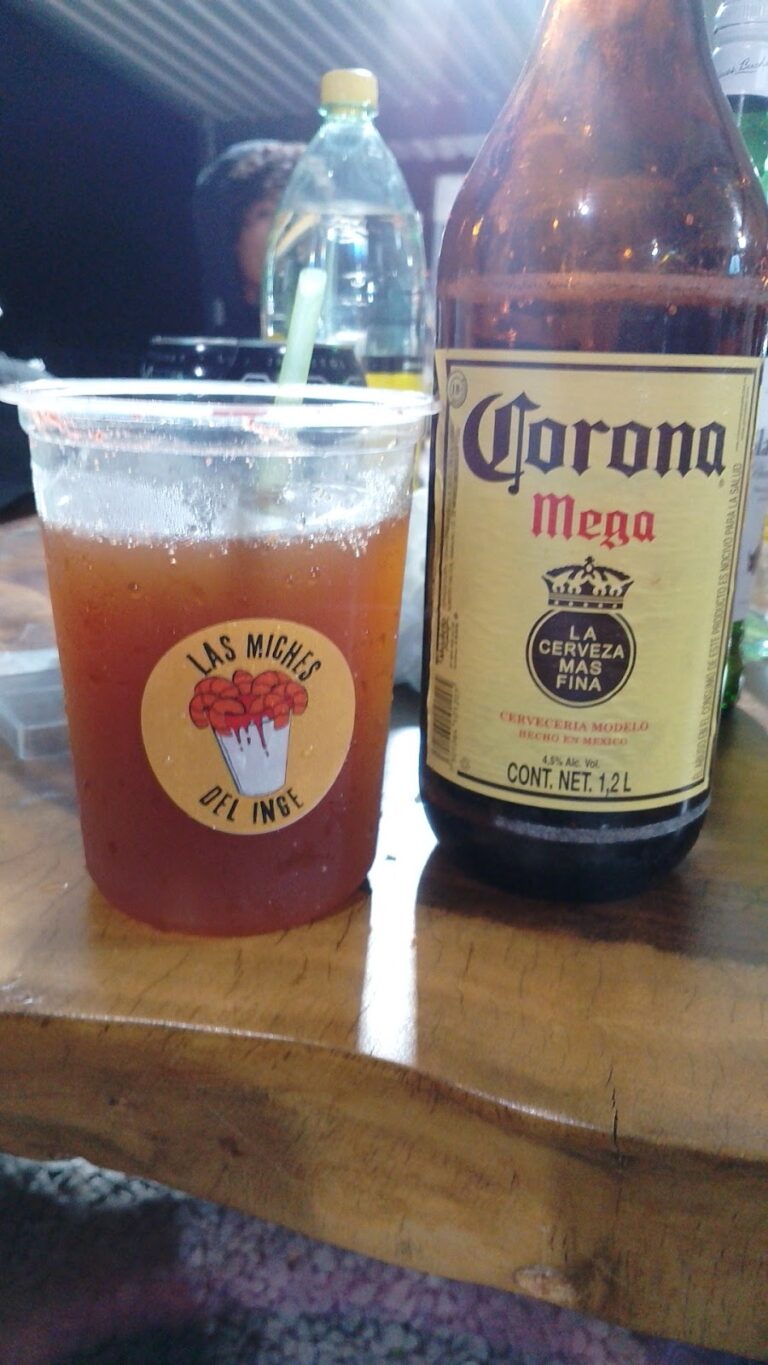 5153 las miches del inge 768x1365