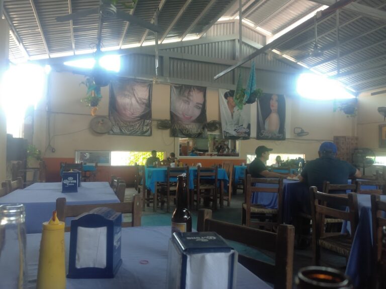 5206 botanero 768x576