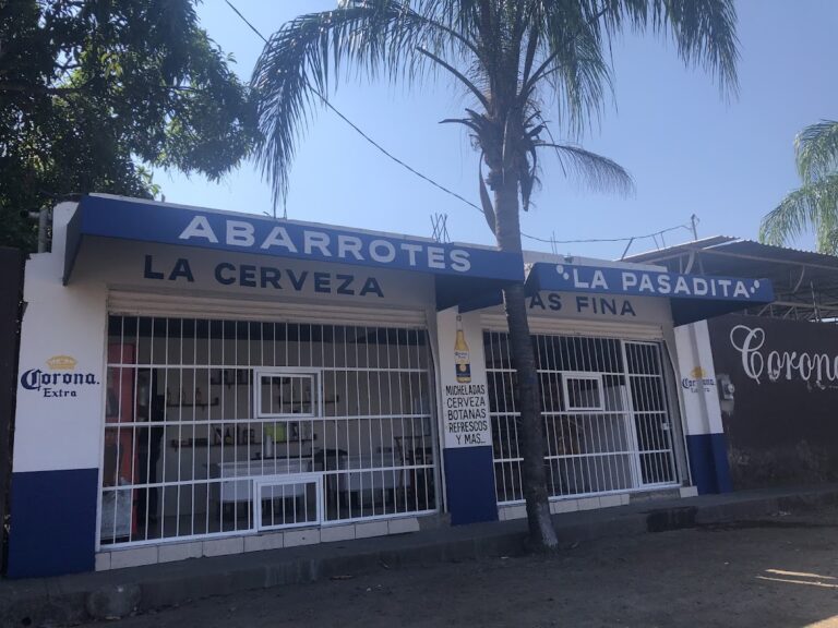 5323 abarrotes 8220la pasadita8221 768x576