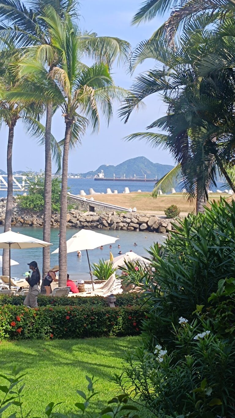 5333 bugambilias bar 768x1365