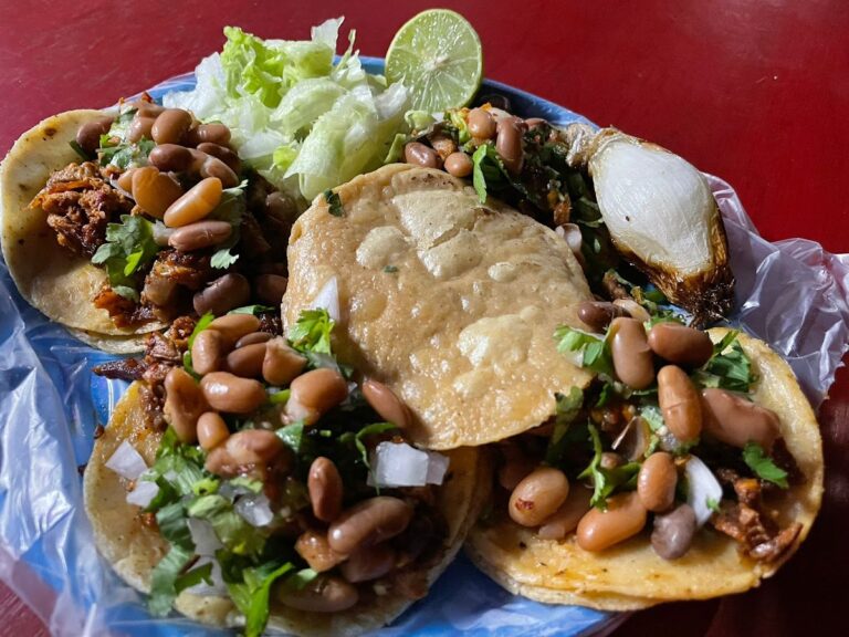 5773 tortas y burritos panchitos 768x576