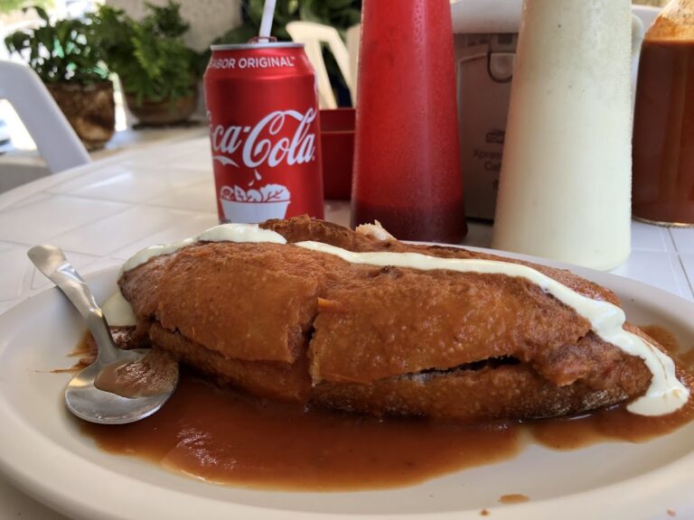 5786 tortas nadadoras 768x576