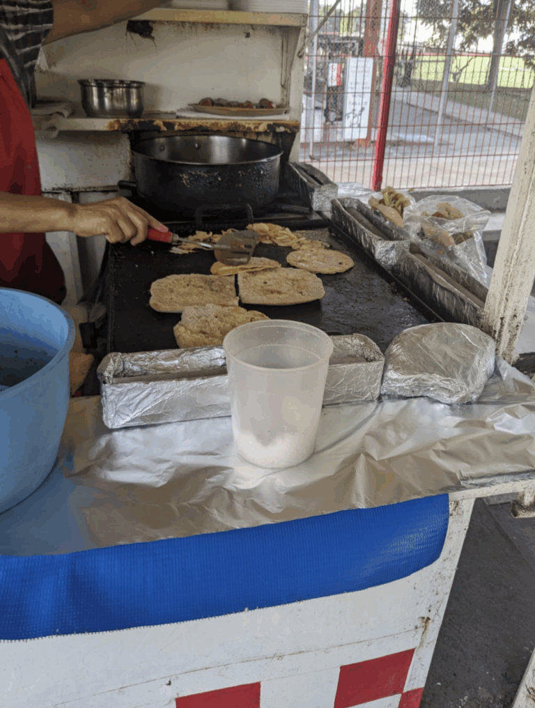 5850 dona bacteria 768x1016