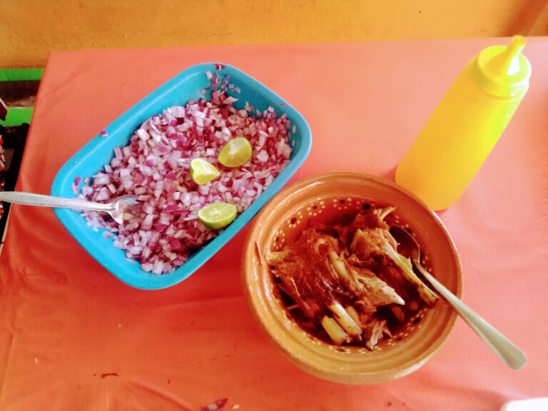 5970 birria de chivo colima 768x576