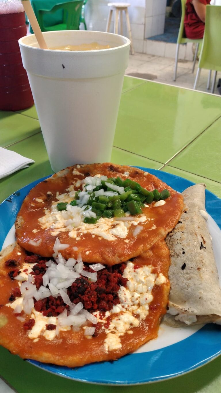 6118 antojitos mexicanos maty 768x1365