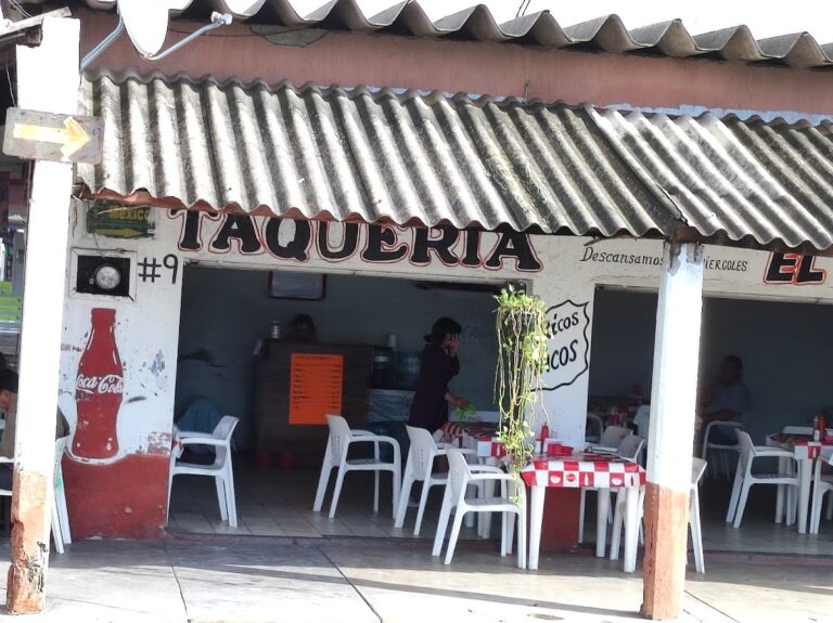 6212 taqueria8221 8220el pelon8221 768x575