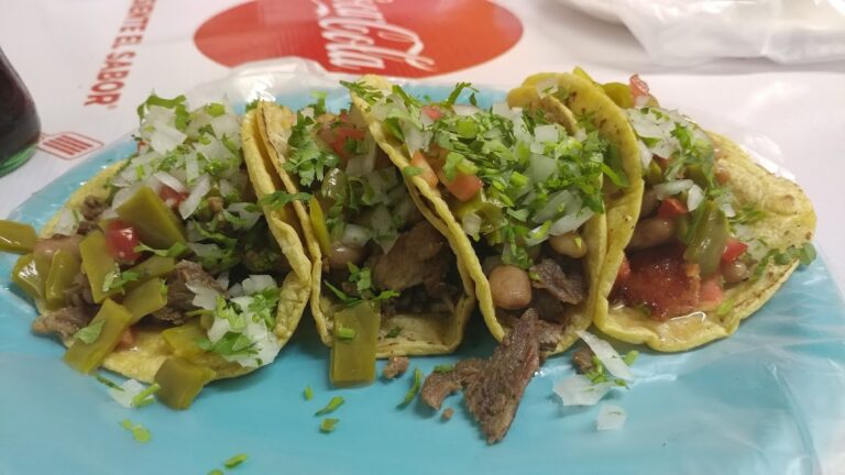 6481 carnes asadas la rueda 768x432