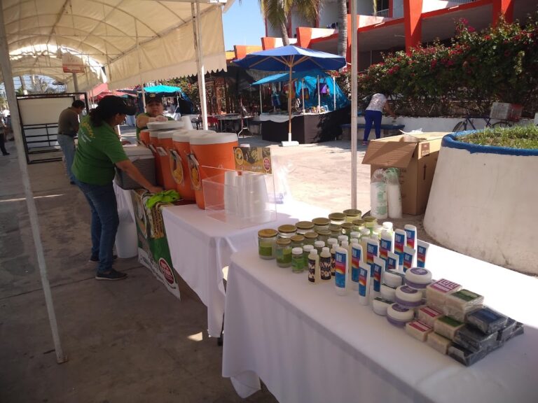 6541 ola verde mariscos 768x576