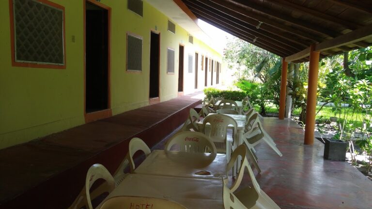 658 el oasis de don gato 768x432