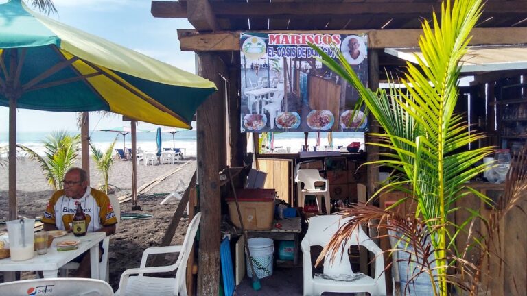 6608 el oasis de don gato 768x432