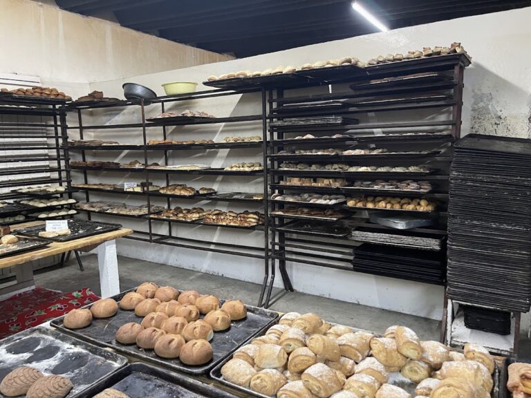 698 panaderia amezcua 768x576