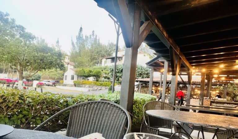 801 rio lumbre cocina de fuego 768x447