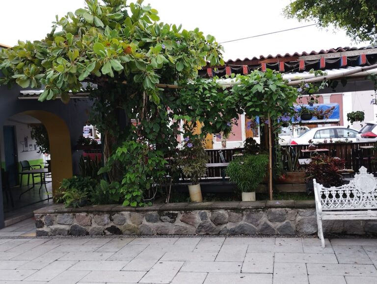 872 la pimienta el sabor de la cocina 768x579