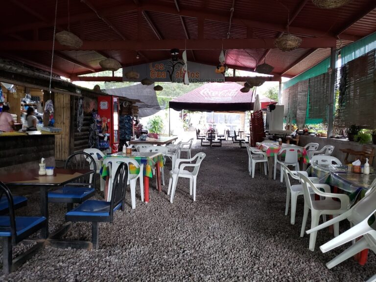 903 los guayabitos restaurante 768x576