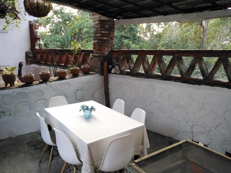 918 peixinho 768x576