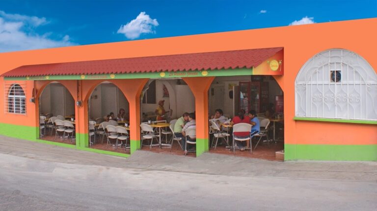 975 la picadita jarocha 768x431