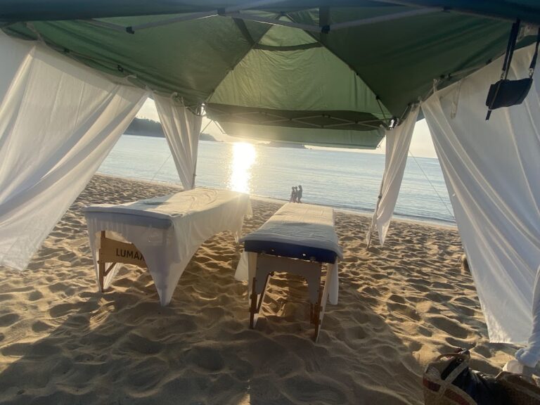 10006 gema spa 768x576