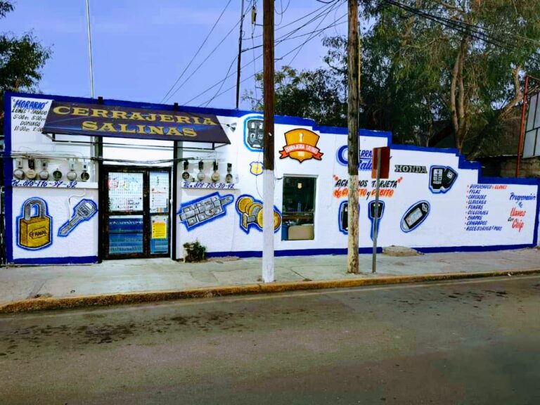 10431 cerrajeria salinas 768x576