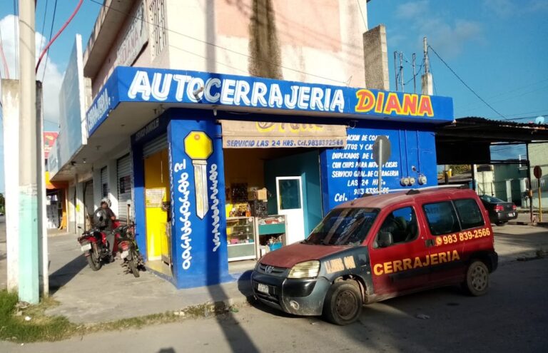 10811 cerrajeria diana 768x495
