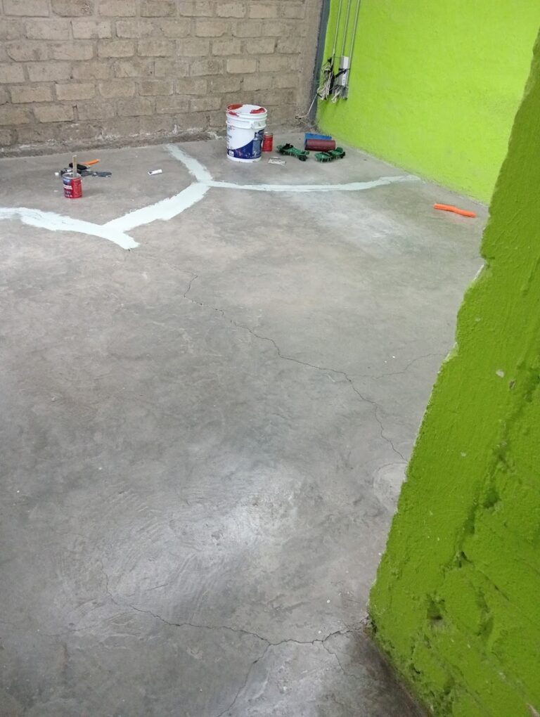 11165 pintores zapopan 768x1020