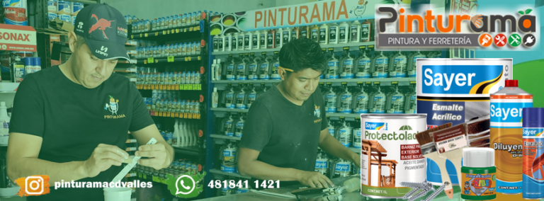 11353 pinturama suc lazaro cardenas 768x284