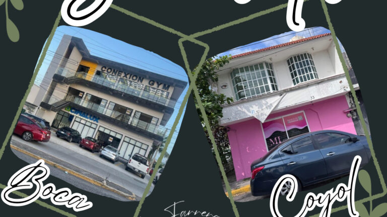 11431 vero farrera art 768x432