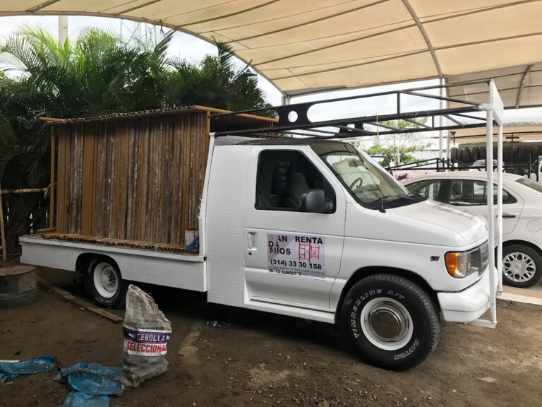 11567 andamios manzanillo 768x576