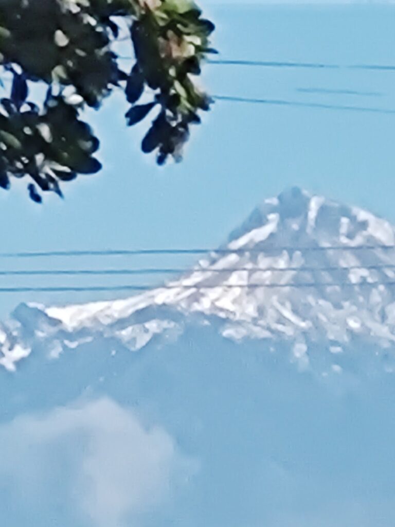 11572 miranda tire 768x1024