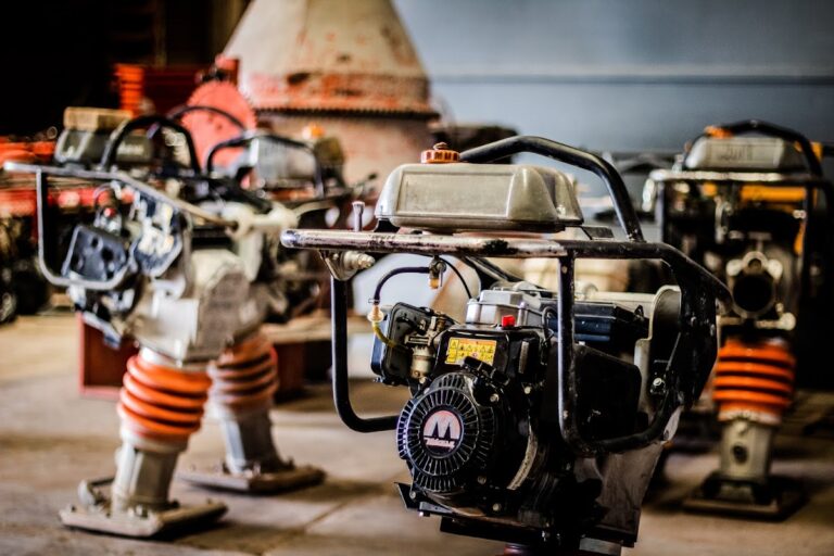 11584 revelsa 768x512