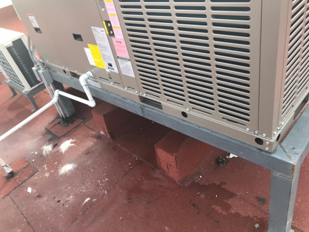 11988 refrigeracion y servicios roman 1024x768