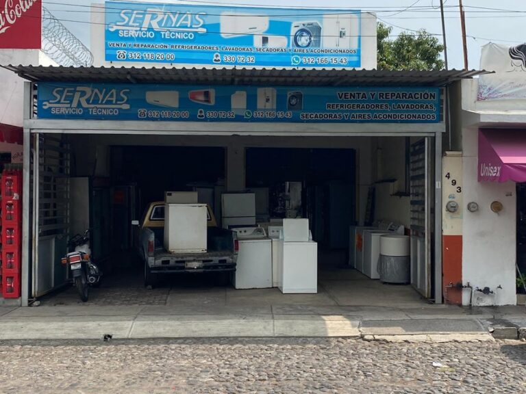 12012 servicio sernas 768x576