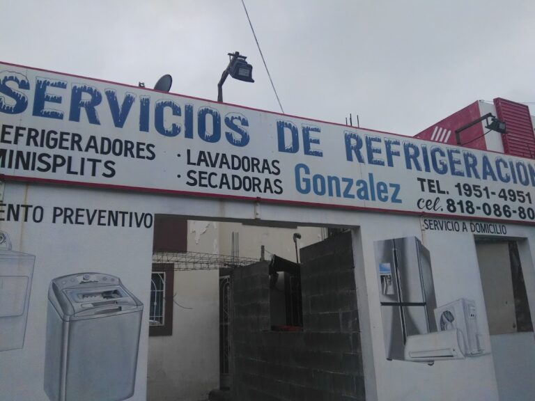 12238 servicios de refrigeracion gonzalez 768x576