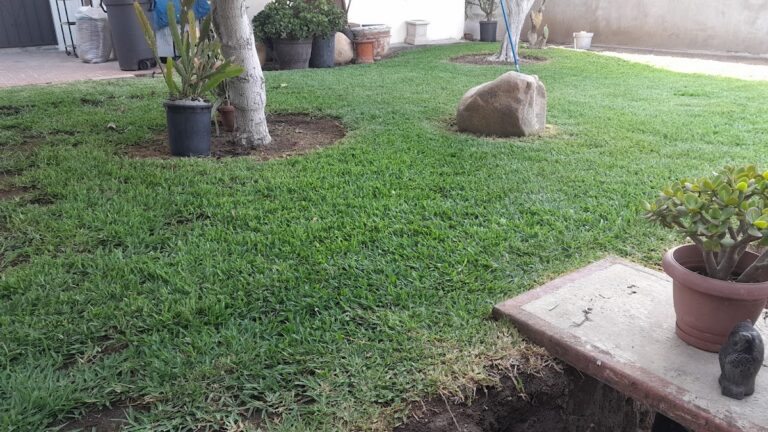 13029 jardineria rangel j.g.r 768x432