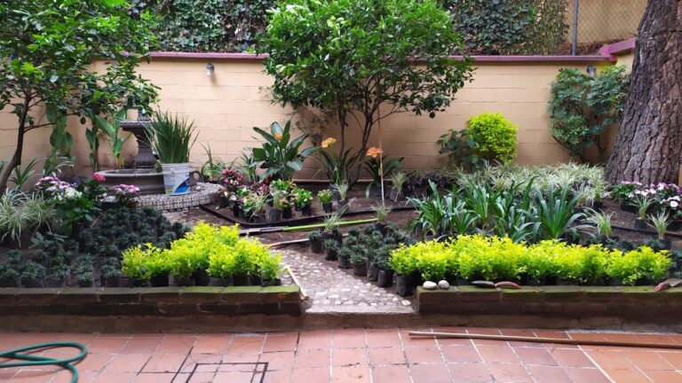 13088 jardify 8211 jardineria en cdmx 768x432